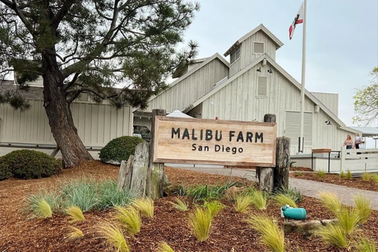 Malibu Farm ($50)