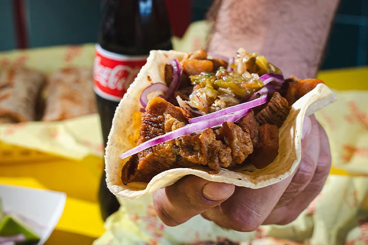 Taconora