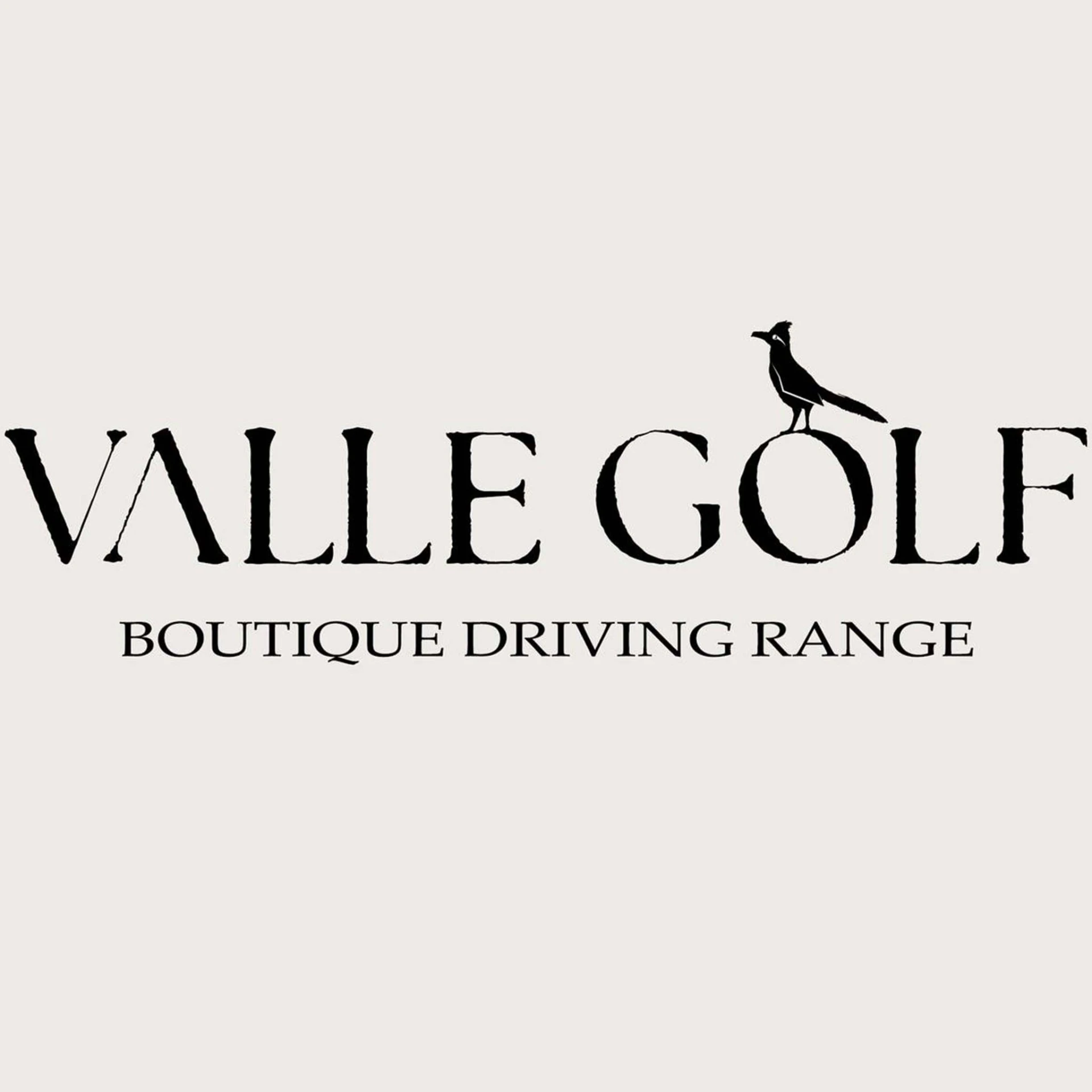 Valle Golf logo